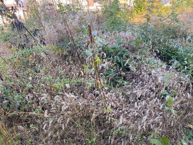 100件以上の実績！納得いくまでとことん丁寧に仕上げます