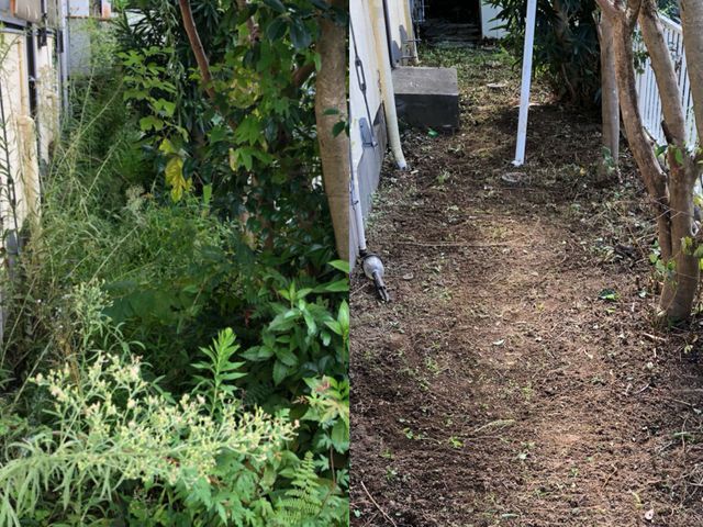 厄介な雑草は是非私にお任せください！！◎