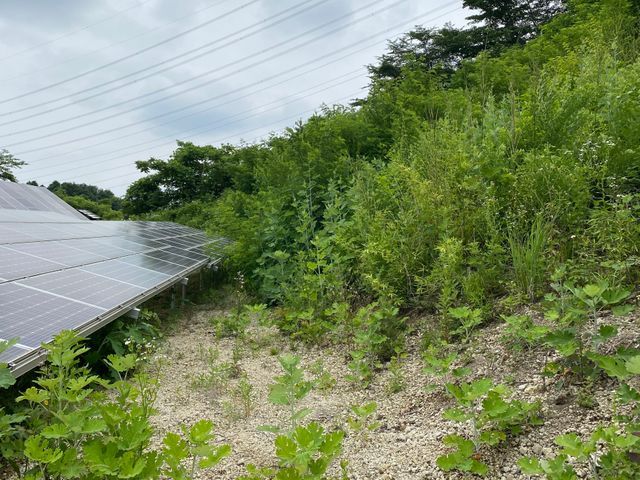 法人からの依頼多数　選ばれる理由は手厚いサポートと安全に配慮した作業が理由