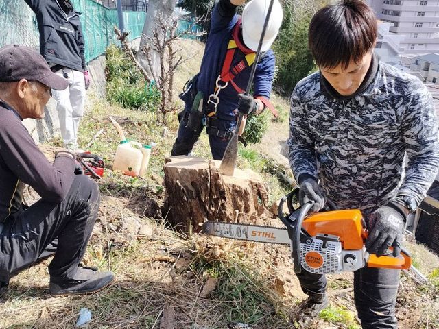 プロの職人が低木から超高木まで幅広く対応！高所作業車やツリークライミングも駆使！