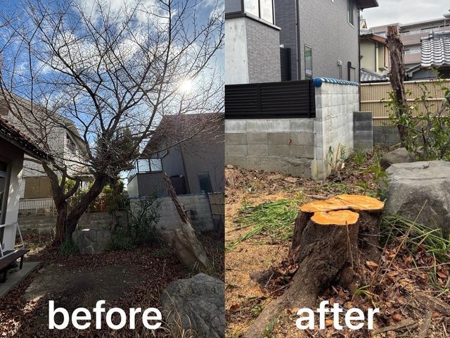 【まとめて割引あり】営業時間外も相談OK！安心・快適の庭木お手入れサービス