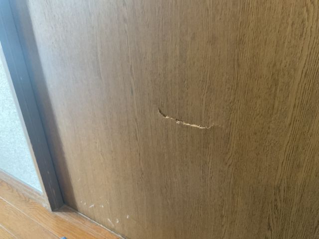 クヨクヨするのは今日でやめに！室内ドア傷や穴　色ハゲなど　なかったことに
