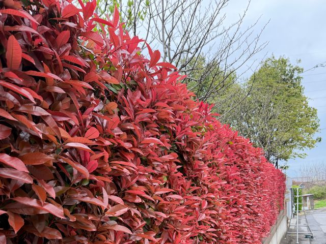 プロの技術でご満足いただけるように心を込めて作業いたします