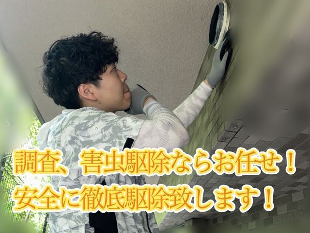 有資格者によるムカデヤスデ駆除、対策！もう見たくないを実現します！即日対応可能！