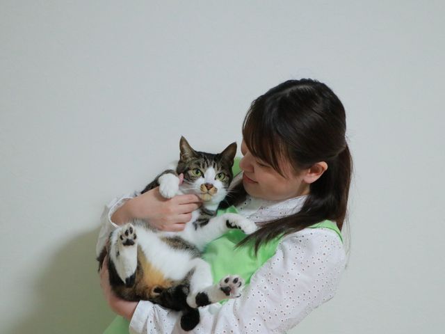 動物病院勤務10年以上の愛玩動物看護師による安心のお世話代行サービス