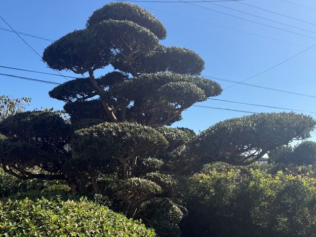 【6年の実績】お庭まるごとトータルコーディネート！営業時間外も相談OK