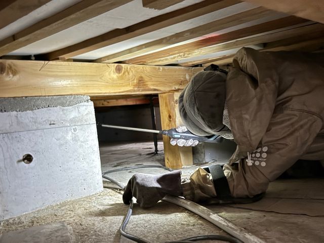 ☆24時間対応☆価格保証☆完全駆除までアフタケア☆損害保険加入