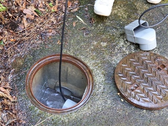 丁寧・誠実な対応で選ばれ続けるプロの技