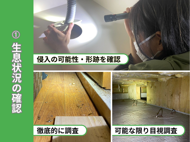 ◆即翌日可◆安心の実績数！水回り封鎖込！限りなく侵入させない環境づくりのお手伝い