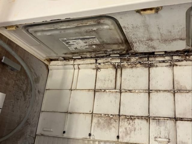 セットがお得！カビも水アカも徹底除去！
