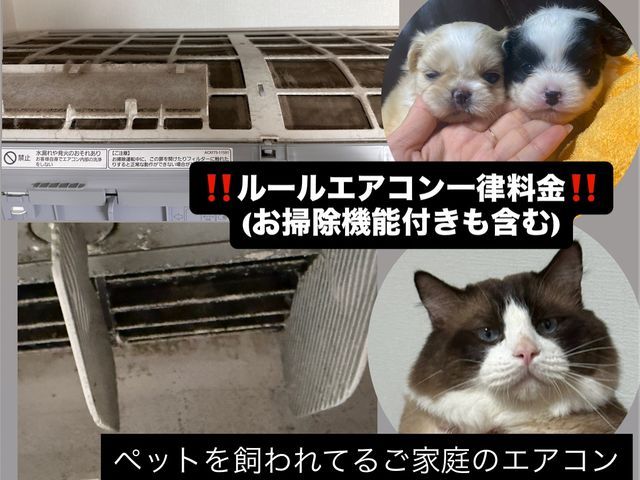 【❀10月中の予約者限定抗菌コート無料❀】◆お掃除機能付きエアコン追加料金0円◆