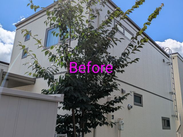 豊富な経験と知識で安心！仕上がり重視で丁寧に作業いたします！