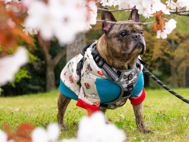 予約対応～撮影・納品まで当社スタッフがすべて対応します