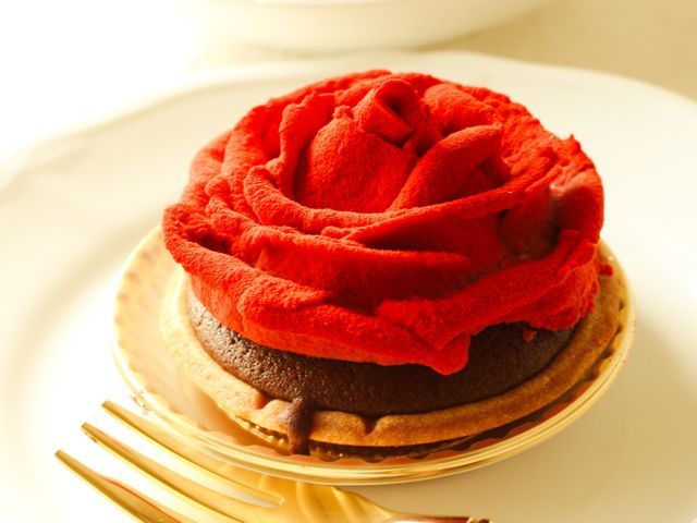 プロの技術でご満足いただけるように心を込めて撮影いたします