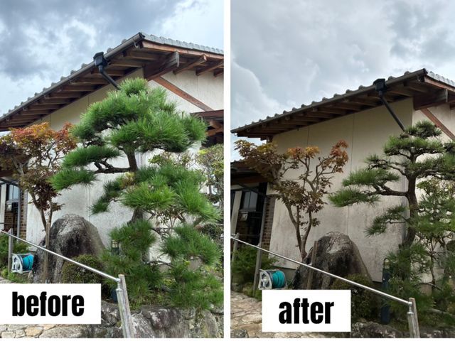 あなたの庭に添った庭づくり　造園歴15年の庭師在籍！　確かな剪定をお届けします♪