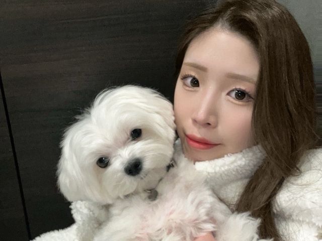 慣れた場所だからこその安心感♫出張型トリミング！パピー〜シニアまで対応可◎