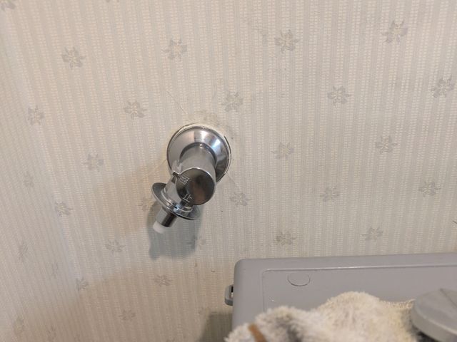 【4月新店オープン記念価格】GW営業します!!/店舗、一般家庭OK