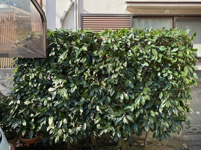 作業外注一切なし、要望確認から仕上げ・清掃まで責任を持って対応いたします