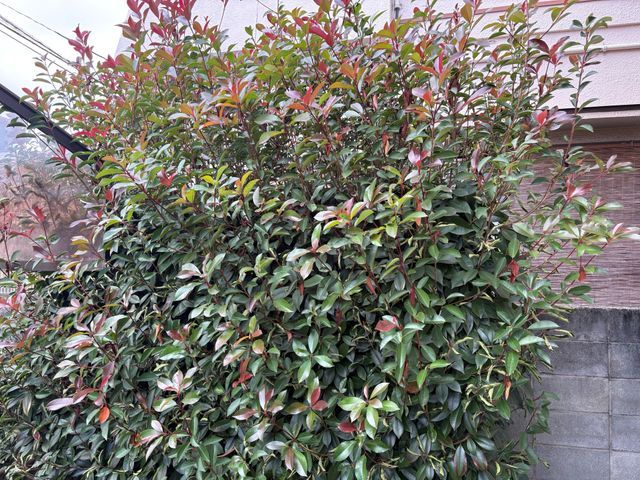 作業外注一切なし、要望確認から仕上げ・清掃まで責任を持って対応いたします