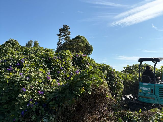 草刈りにお困りの方ご連絡下さい。 お客様に寄り添ったご提案致します。
