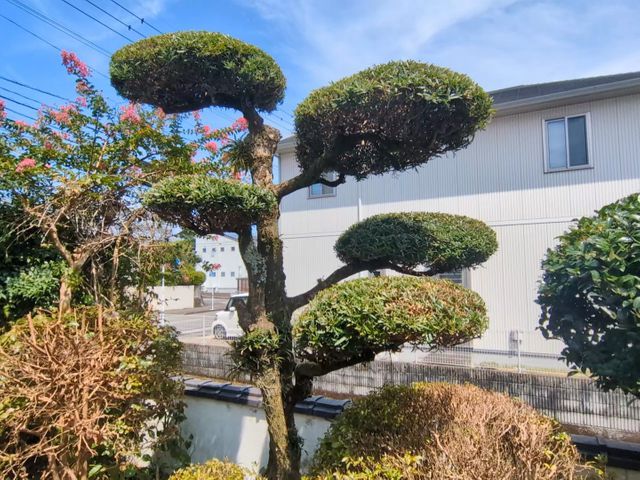 プロの技術でご満足いただけるように心を込めて作業いたします