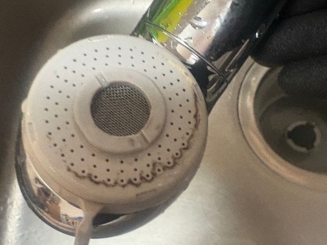 1.2.3月お受けできます