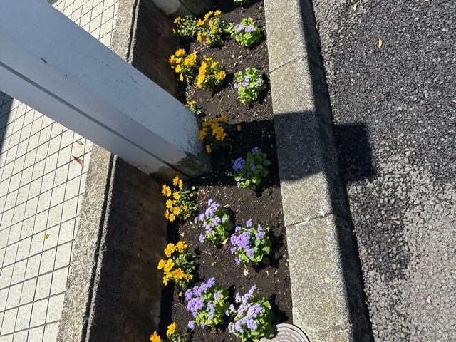 プロの技術でご満足いただけるように心を込めて作業いたします！女性スタッフ同行可