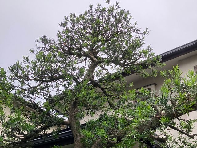 最高品質を求めるお客様必見。知識、技術力に自信があります。