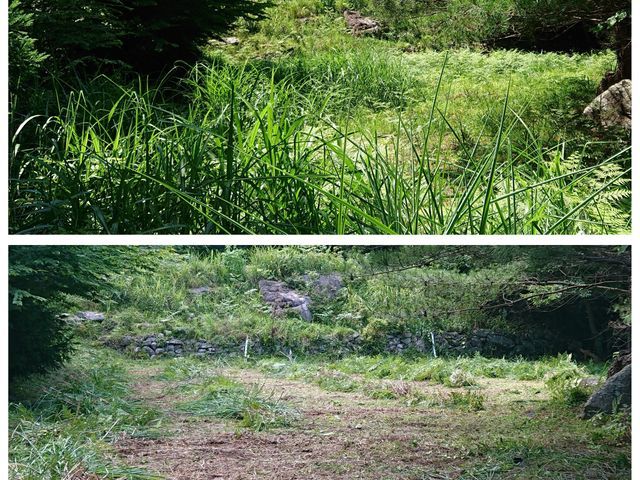 自社スタッフによる安心施工！丁寧な仕上がりで見栄えの良いお庭に変身させます