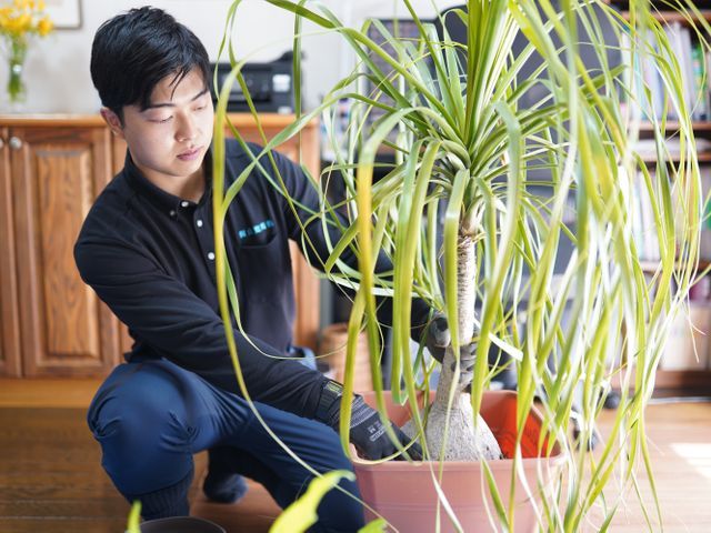 〜鉢の植替え〜　3月から10月頃までがシーズンです。
