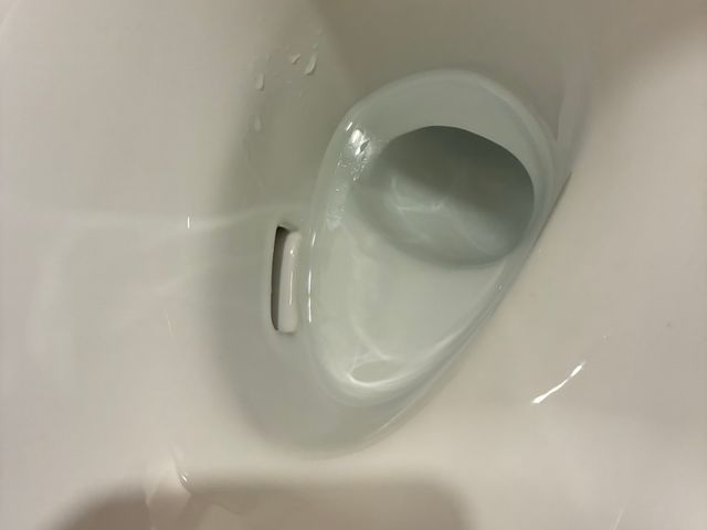 10月出店◎トイレをピカピカに◎【清掃実績有】【堺発】